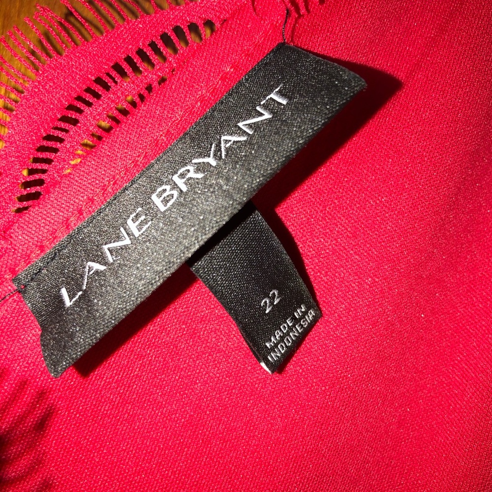 Nwot Lane Bryant Dress